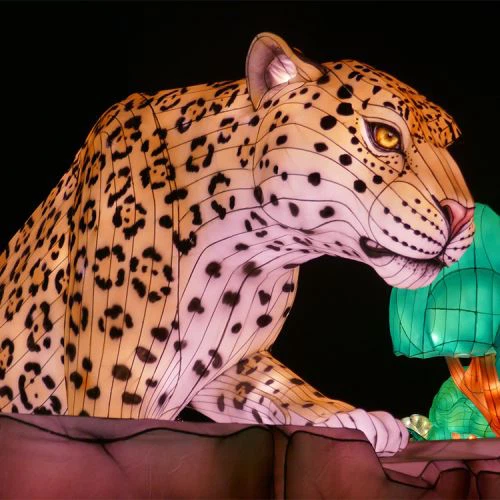 Kinesisk zodiaklyktor