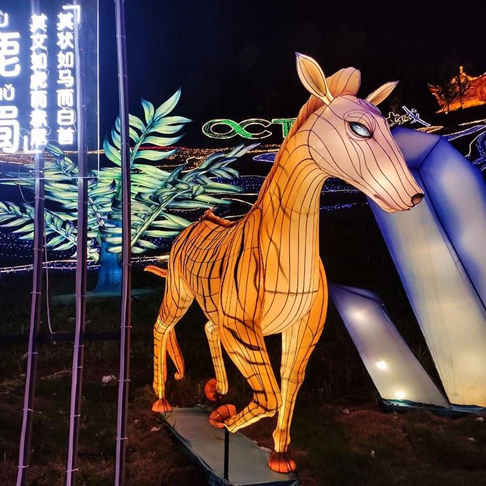 Silk Lantern Festival